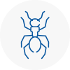 Ant Removals In Chandlers Cross