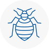 Bed Bug Extermination In Chandlers Cross