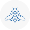 Bee Nest Removal Chandlers Cross