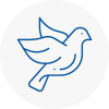 Bird Prevention Chandlers Cross