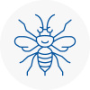 Chandlers Cross Hornet Nest Removals