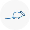 Mice Exterminators In Chandlers Cross