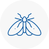 Moth Control Specialists In Chandlers Cross