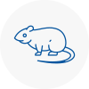 Rat Control Chandlers Cross