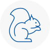 Chandlers Cross Rodent Removals