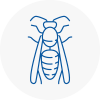 Chandlers Cross Wasp Nest Removal